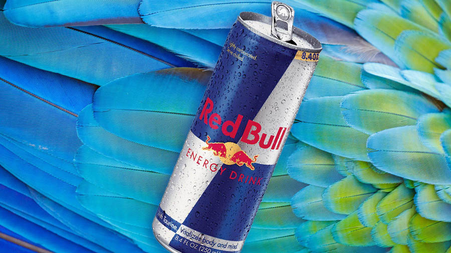 Image of Red Bull energy drink.