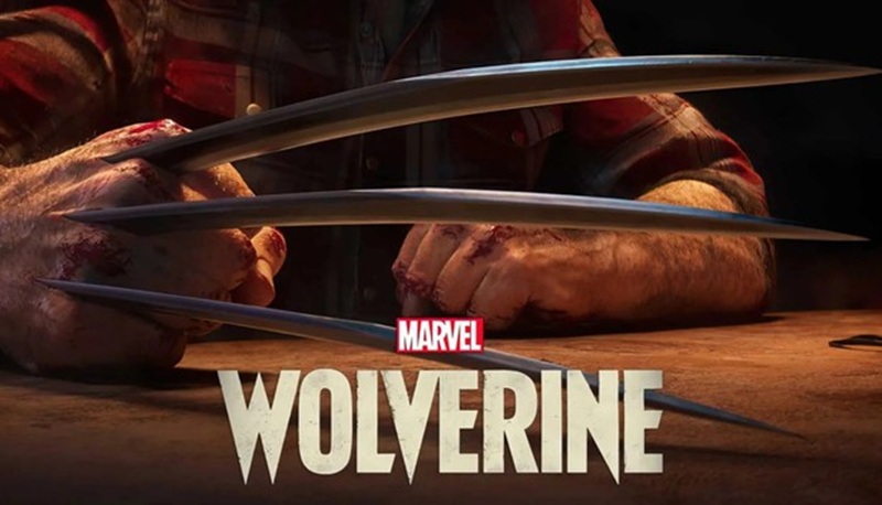 Official image of Wolverine