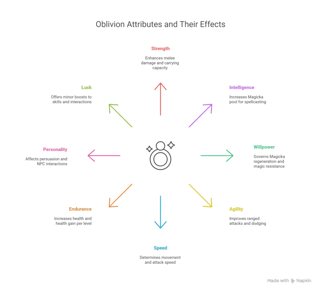 Elder Scrolls IV: Oblivion Attributes info