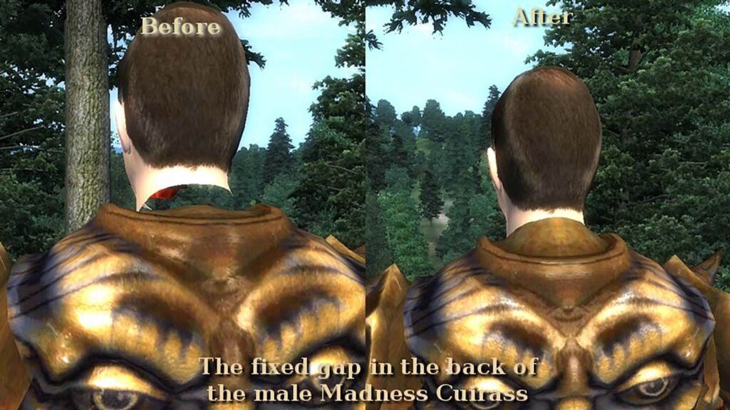 a screenshot of a Graphic Mod in The Elder Scrolls IV: Oblivion