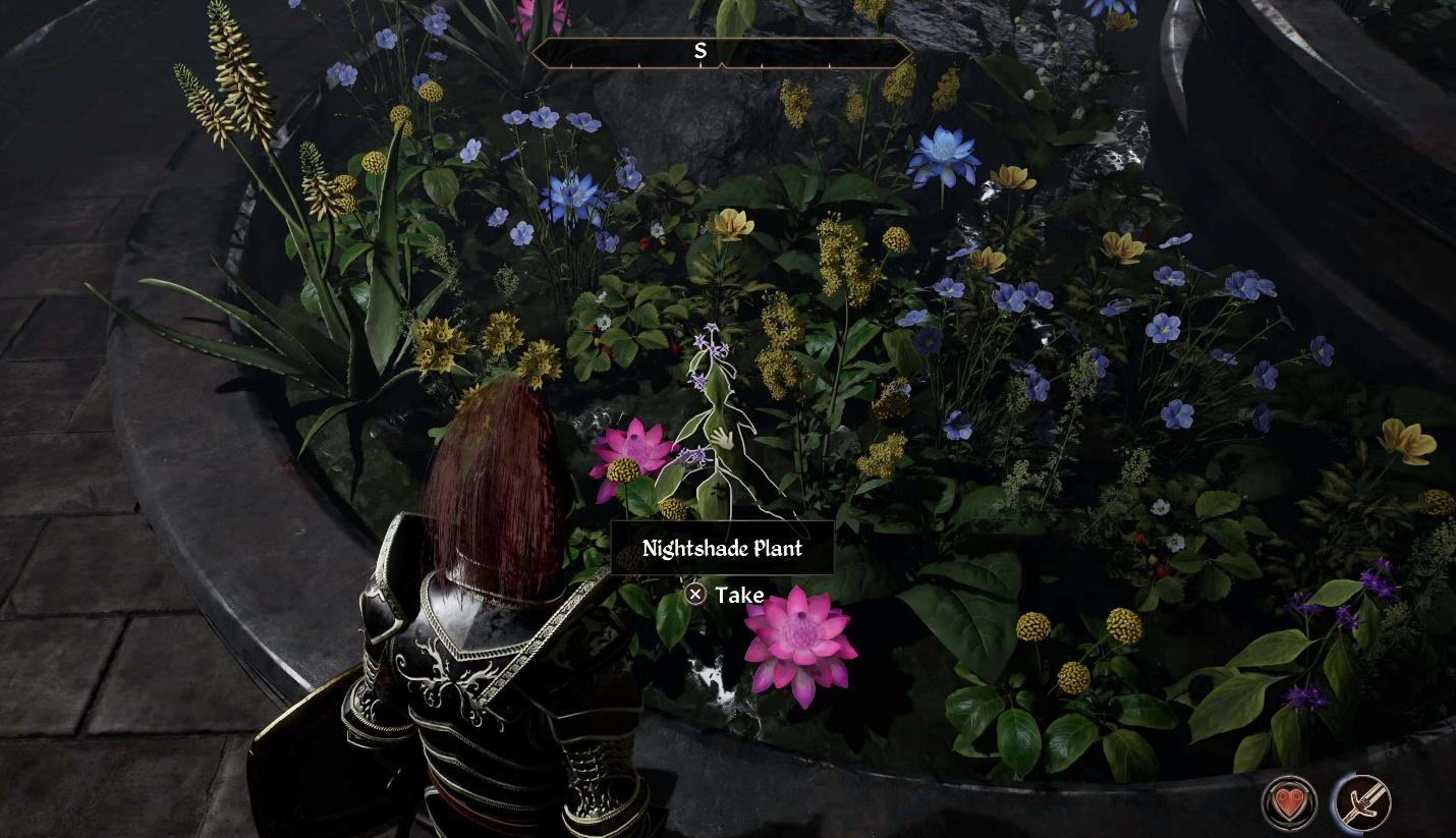 A screenshot of Nightshade Plant in The Elder Scrolls IV: Oblivion.