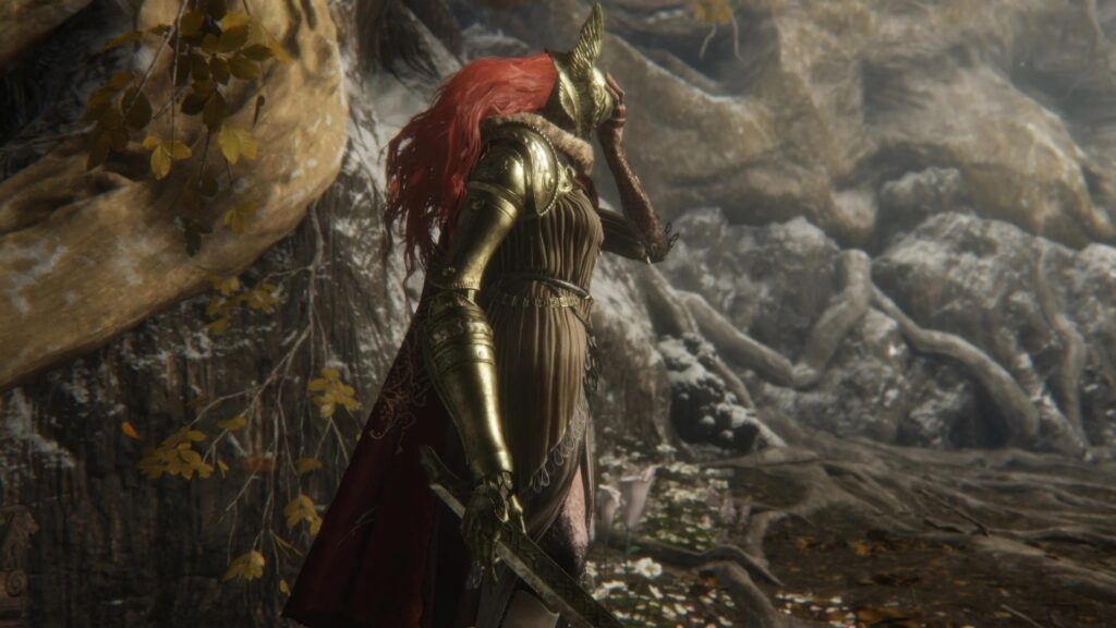 A picture of Elden Ring.