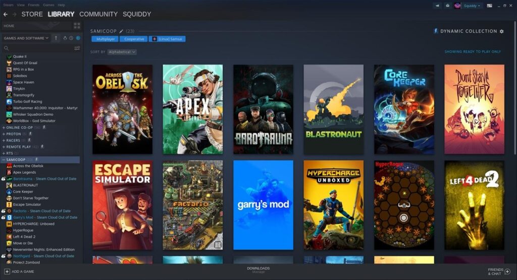 a picture of the library in the Steam App