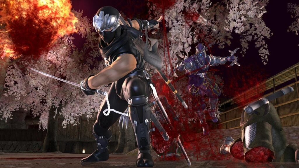 a picture of Ninja Gaiden 2 (2008)